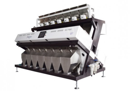 448 Channels Color Sorter Machine Pistachios Pine Nuts Colour Sorting Grading Machine