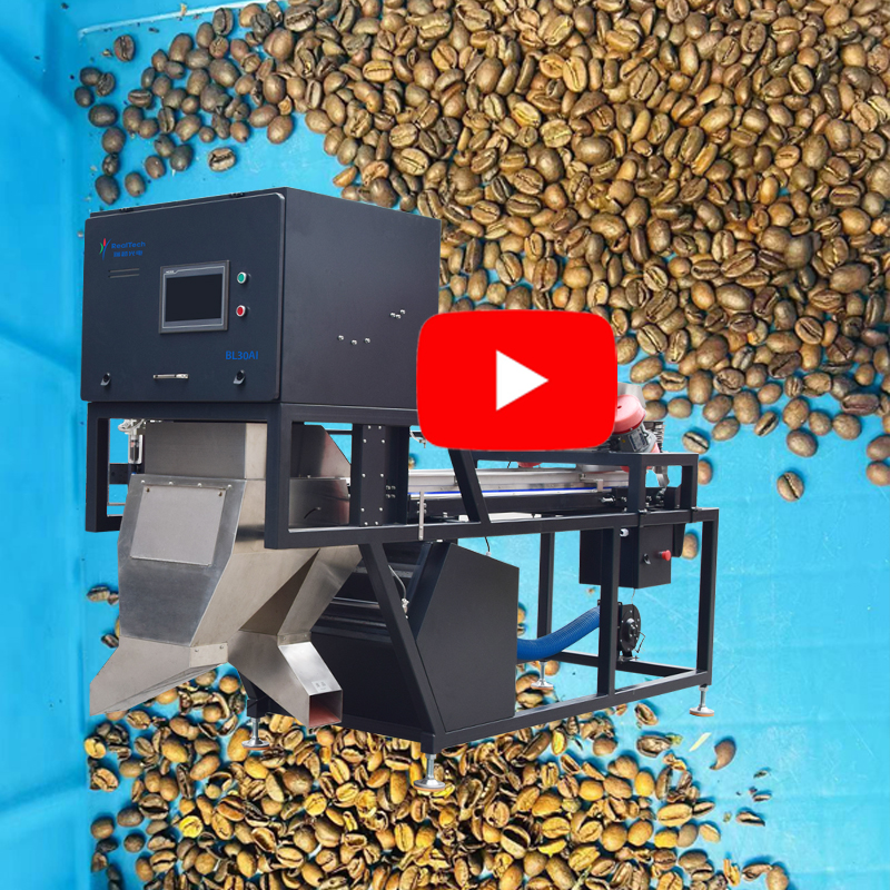 AI  Coffee Color Sorter Machine BL30AI